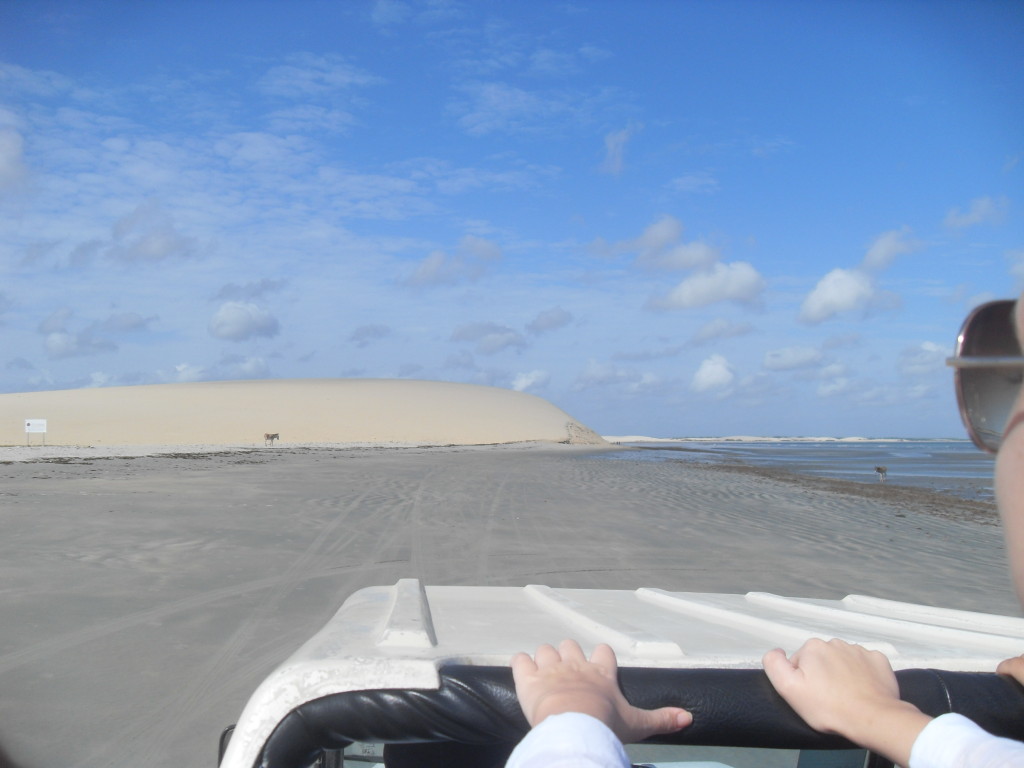 Passeio de buggy em Jericoacoara