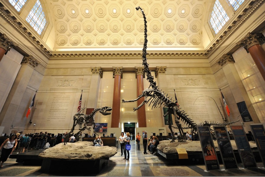 museus-em-nova-york-museu-americano-de-historia-natural-dinossauros