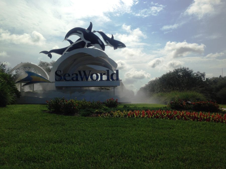 Quais-parques-visitar-em-Orlando-seaworld-entrada